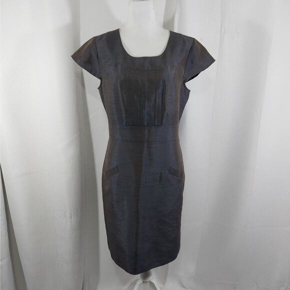 BANANA REPUBLIC! IRIDESCENT LAVENDER GRAY SHEATH STYLE SHANTUNG DRESS! SZ XL - Picture 2 of 10